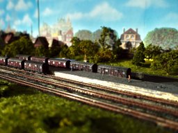 Ausstellung November 2024