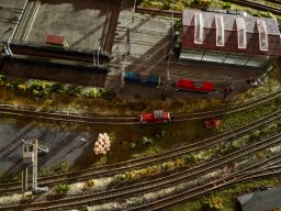 Ausstellung November 2024